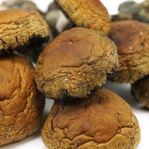 Magic mushroom Dispensary , Buy Thai Magic Mushrooms Europe , Order Magic Mushroom Europe , Where to purchase Shrooms Germany ,Magic mushroom for sale Austria