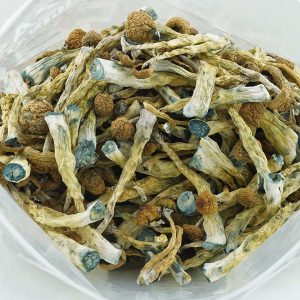 Magic Mushroom for sale Europe , Magic mushroom dispensary in Germany ,Buy Mushroom Online France , Purchase Shrooms in Austria