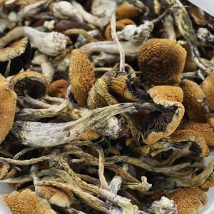 Magic Mushrooms , BUY MEXICAN MAGIC MUSHROOM Europe , Order Magic Shrooms Germany , Where to order Quality shrooms in France , Purchase Magic mushroom online Austria