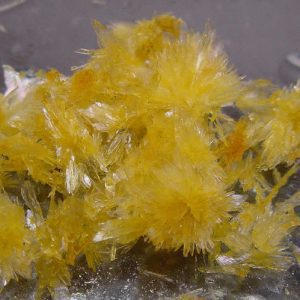 Buy DMT Crystals Online Europe , Where to purchase DMT Powder Germany , Dmt for sale France ,Order quality DMT Crystal Online Austria