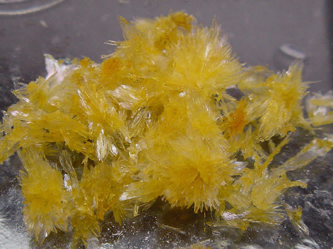 Buy DMT Crystals Online Europe , Where to purchase DMT Powder Germany , Dmt for sale France ,Order quality DMT Crystal Online Austria Buy DMT Crystals Online Europe , Where to purchase DMT Powder Germany , Dmt for sale France ,Order quality DMT Crystal Online Austria
