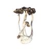 Buy Albino A+ Magic Mushrooms Europe , Where to order Magic Mushrooms in Germany , Psilocybin (magic mushrooms) for sale France